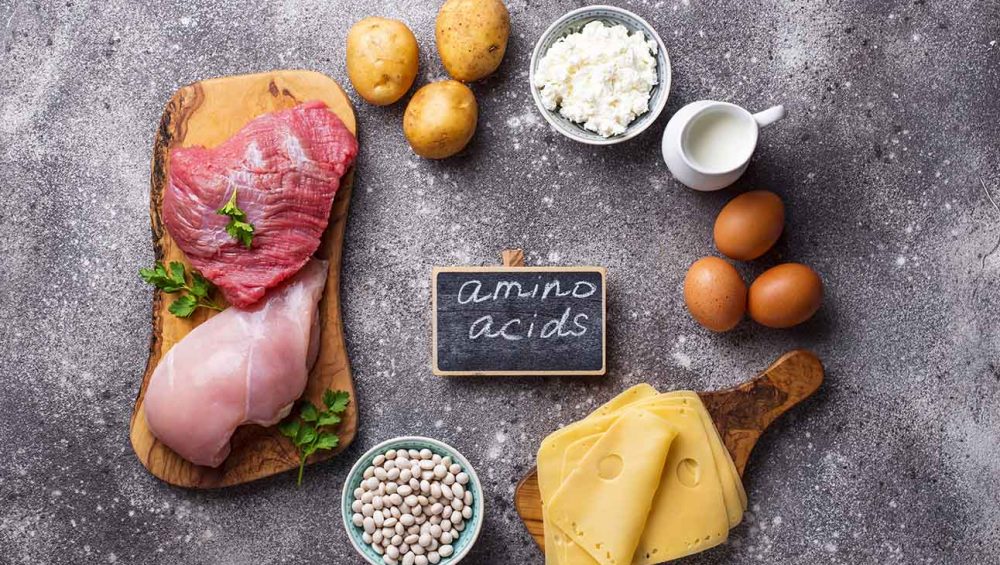 Aminoácidos Essenciais