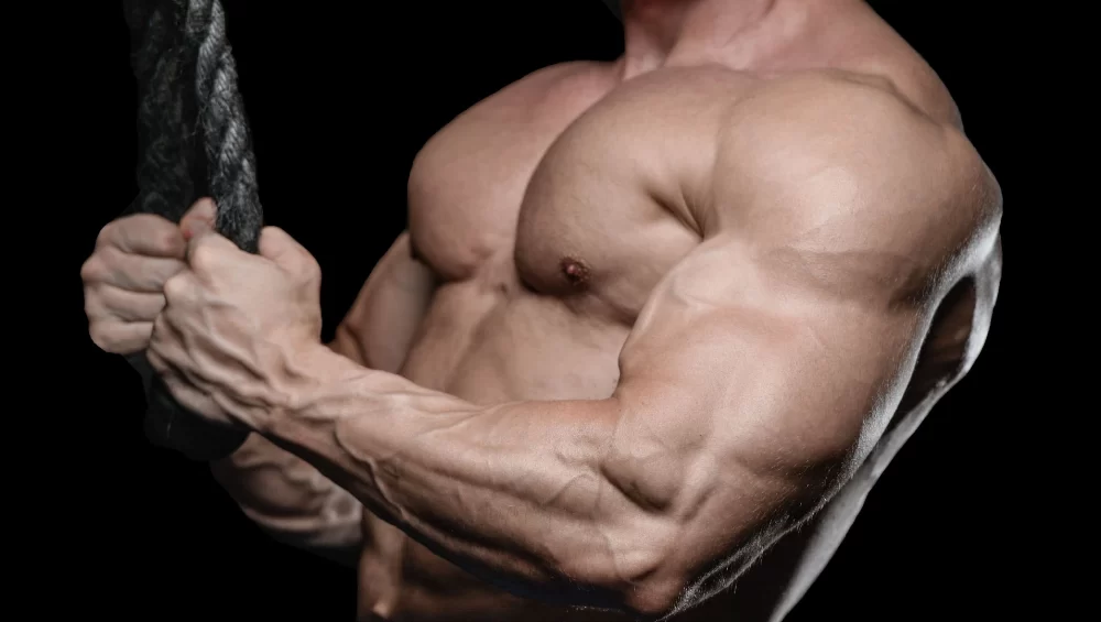 Caseína e sua importância para o ganho da massa muscular